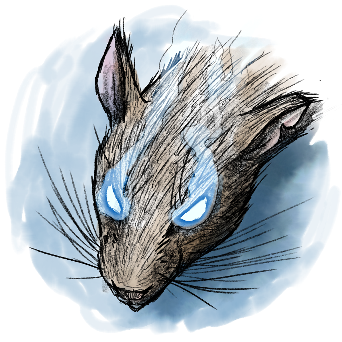 Rat